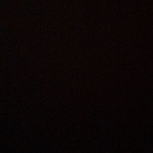 Meet your Posher, Rose